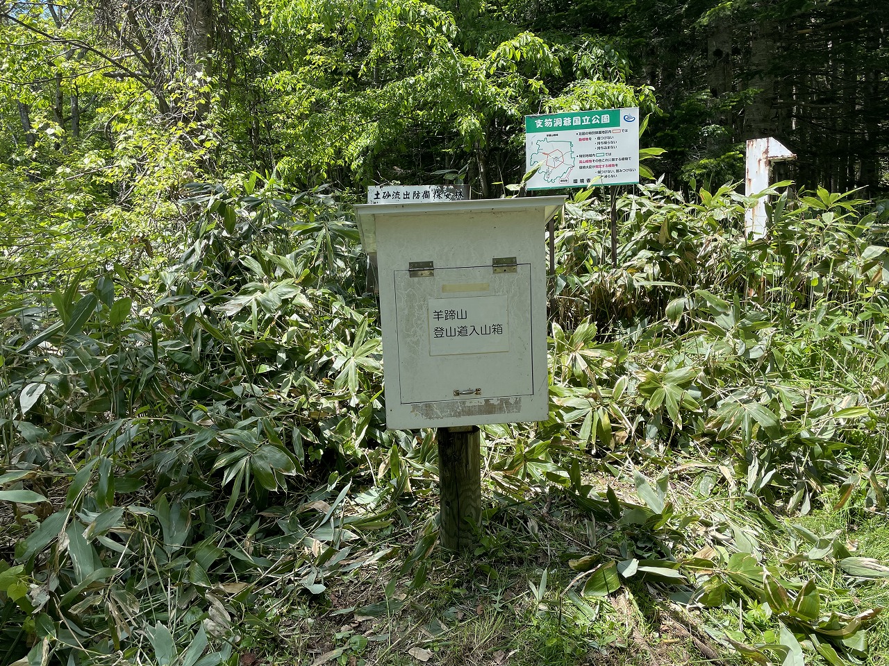 入山箱の拡大写真